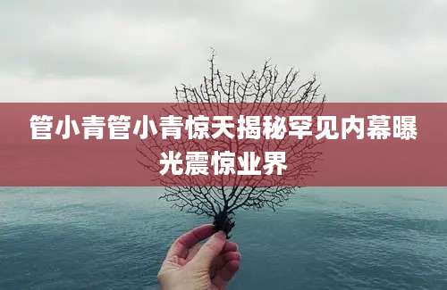 管小青管小青惊天揭秘罕见内幕曝光震惊业界