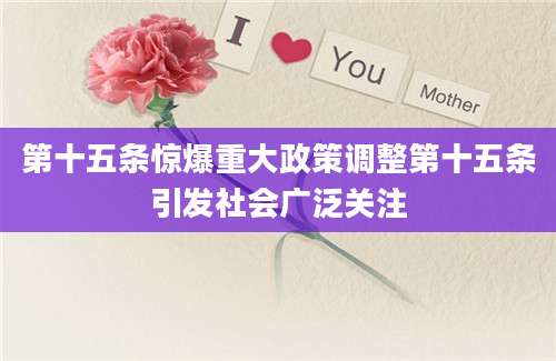 第十五条惊爆重大政策调整第十五条引发社会广泛关注