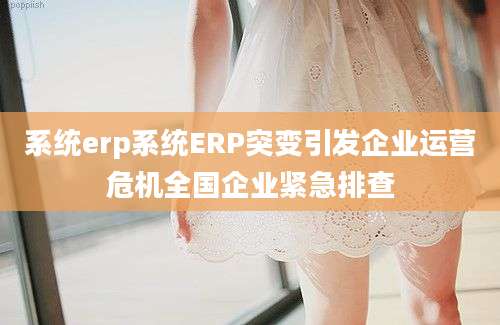系统erp系统ERP突变引发企业运营危机全国企业紧急排查