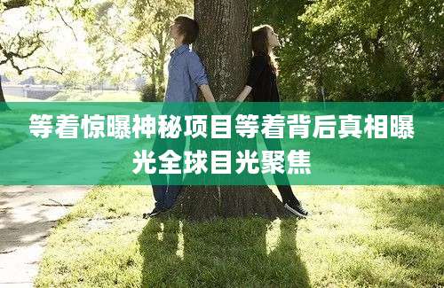 等着惊曝神秘项目等着背后真相曝光全球目光聚焦