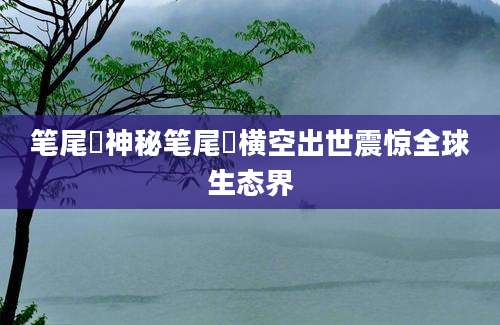 笔尾獴神秘笔尾獴横空出世震惊全球生态界