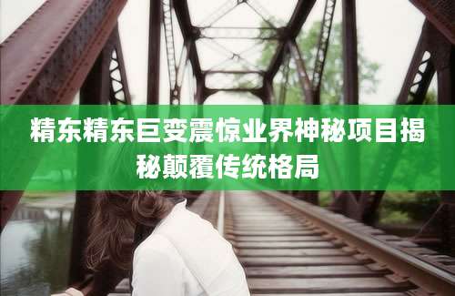 精东精东巨变震惊业界神秘项目揭秘颠覆传统格局
