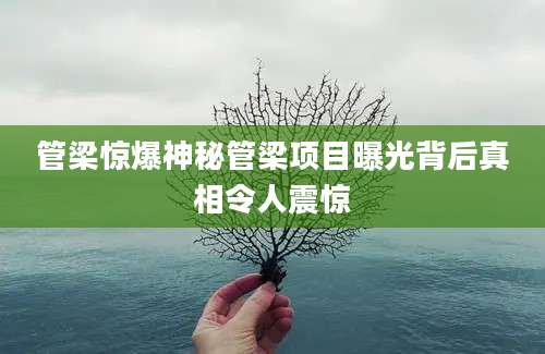 管梁惊爆神秘管梁项目曝光背后真相令人震惊