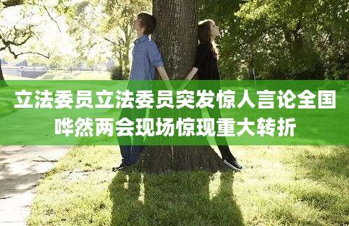 立法委员立法委员突发惊人言论全国哗然两会现场惊现重大转折