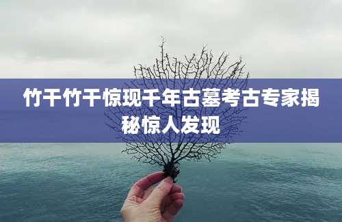 竹干竹干惊现千年古墓考古专家揭秘惊人发现