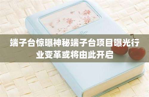 端子台惊曝神秘端子台项目曝光行业变革或将由此开启