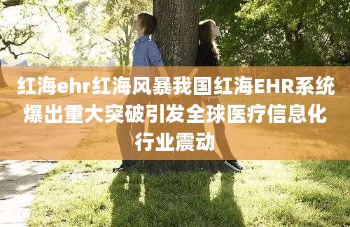 红海ehr红海风暴我国红海EHR系统爆出重大突破引发全球医疗信息化行业震动