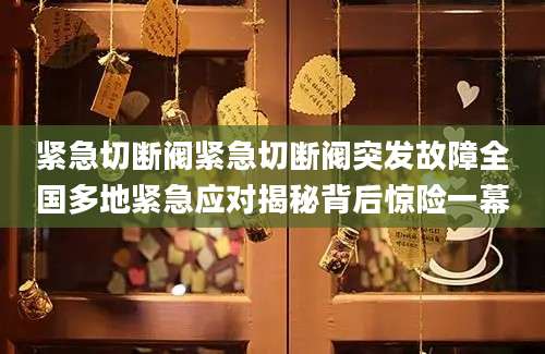 紧急切断阀紧急切断阀突发故障全国多地紧急应对揭秘背后惊险一幕