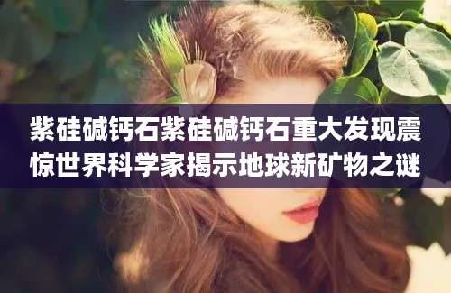 紫硅碱钙石紫硅碱钙石重大发现震惊世界科学家揭示地球新矿物之谜