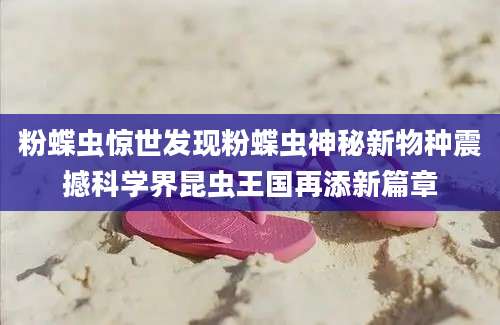 粉蝶虫惊世发现粉蝶虫神秘新物种震撼科学界昆虫王国再添新篇章