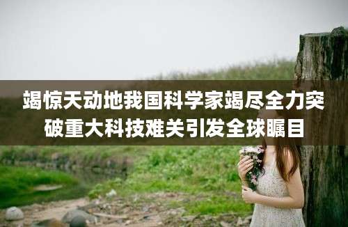 竭惊天动地我国科学家竭尽全力突破重大科技难关引发全球瞩目
