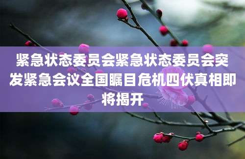 紧急状态委员会紧急状态委员会突发紧急会议全国瞩目危机四伏真相即将揭开