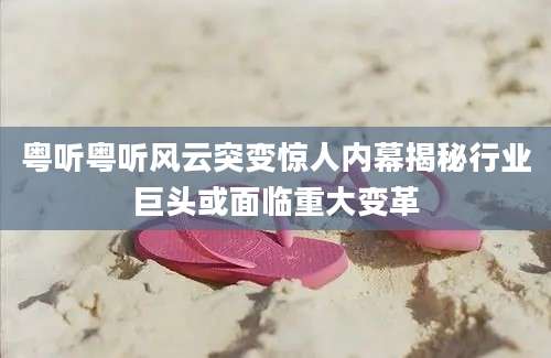粤听粤听风云突变惊人内幕揭秘行业巨头或面临重大变革