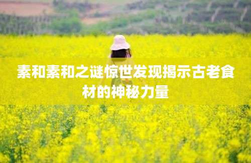 素和素和之谜惊世发现揭示古老食材的神秘力量