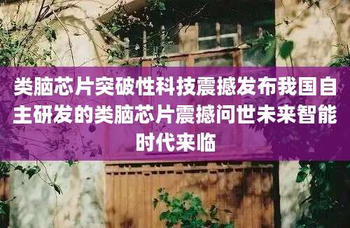 类脑芯片突破性科技震撼发布我国自主研发的类脑芯片震撼问世未来智能时代来临