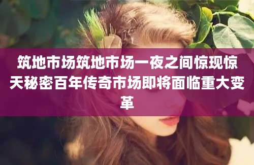 筑地市场筑地市场一夜之间惊现惊天秘密百年传奇市场即将面临重大变革