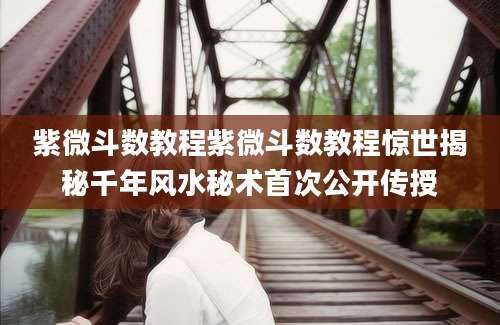 紫微斗数教程紫微斗数教程惊世揭秘千年风水秘术首次公开传授