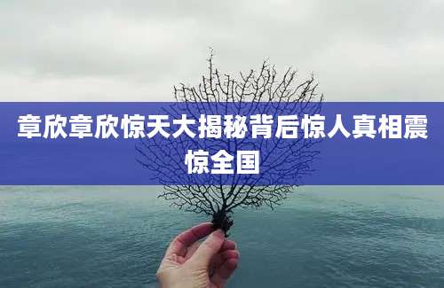 章欣章欣惊天大揭秘背后惊人真相震惊全国