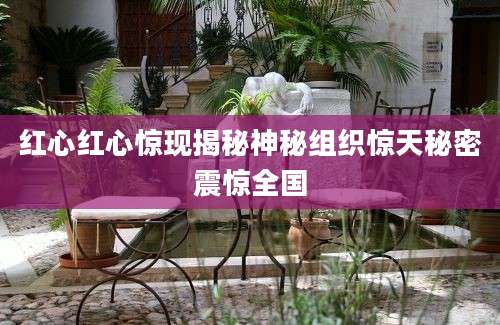 红心红心惊现揭秘神秘组织惊天秘密震惊全国