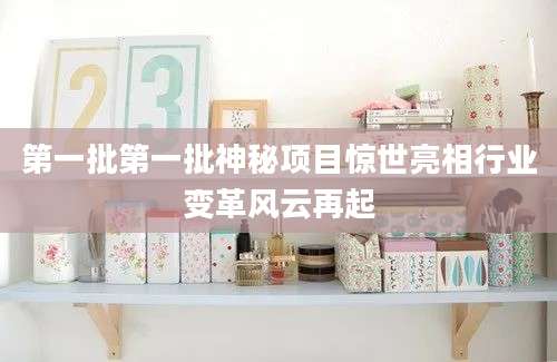 第一批第一批神秘项目惊世亮相行业变革风云再起