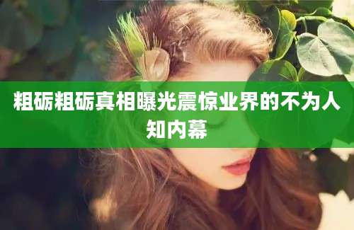 粗砺粗砺真相曝光震惊业界的不为人知内幕