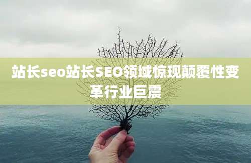 站长seo站长SEO领域惊现颠覆性变革行业巨震
