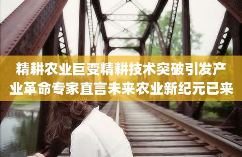 精耕农业巨变精耕技术突破引发产业革命专家直言未来农业新纪元已来