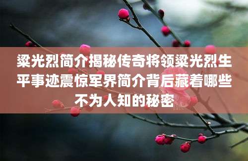 粱光烈简介揭秘传奇将领粱光烈生平事迹震惊军界简介背后藏着哪些不为人知的秘密