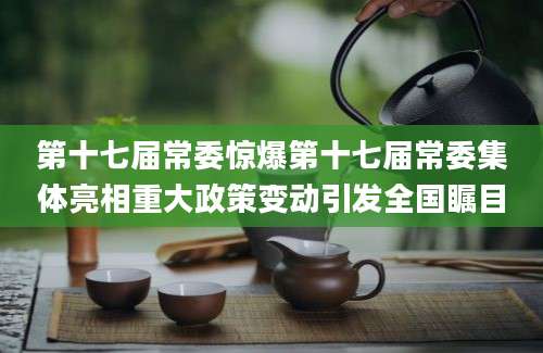 第十七届常委惊爆第十七届常委集体亮相重大政策变动引发全国瞩目