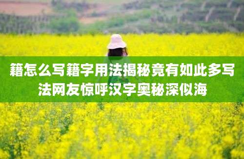籍怎么写籍字用法揭秘竟有如此多写法网友惊呼汉字奥秘深似海