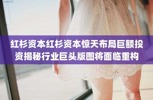 红杉资本红杉资本惊天布局巨额投资揭秘行业巨头版图将面临重构