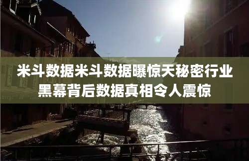 米斗数据米斗数据曝惊天秘密行业黑幕背后数据真相令人震惊