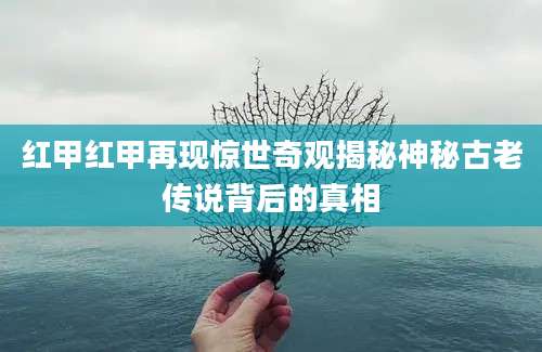 红甲红甲再现惊世奇观揭秘神秘古老传说背后的真相