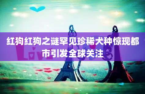红狗红狗之谜罕见珍稀犬种惊现都市引发全球关注