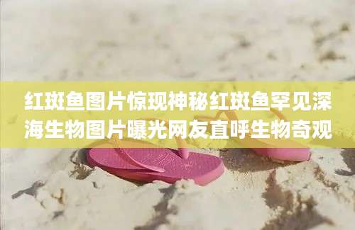 红斑鱼图片惊现神秘红斑鱼罕见深海生物图片曝光网友直呼生物奇观