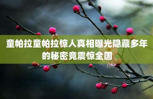 童帕拉童帕拉惊人真相曝光隐藏多年的秘密竟震惊全国